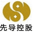 先導(dǎo)控股